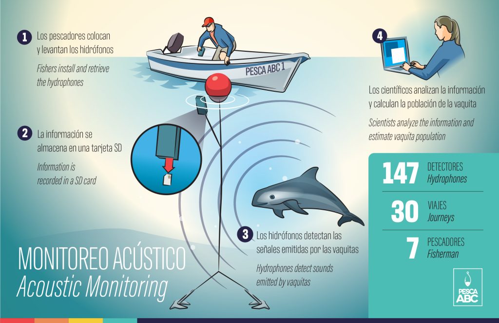 El ABC de la pesca submarina – SKIPPERMAR